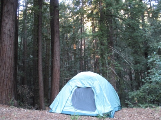 Tent-smaller