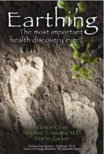 Earthing Book EMF