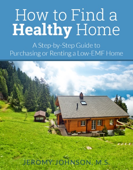 Healthy Home Cover 1