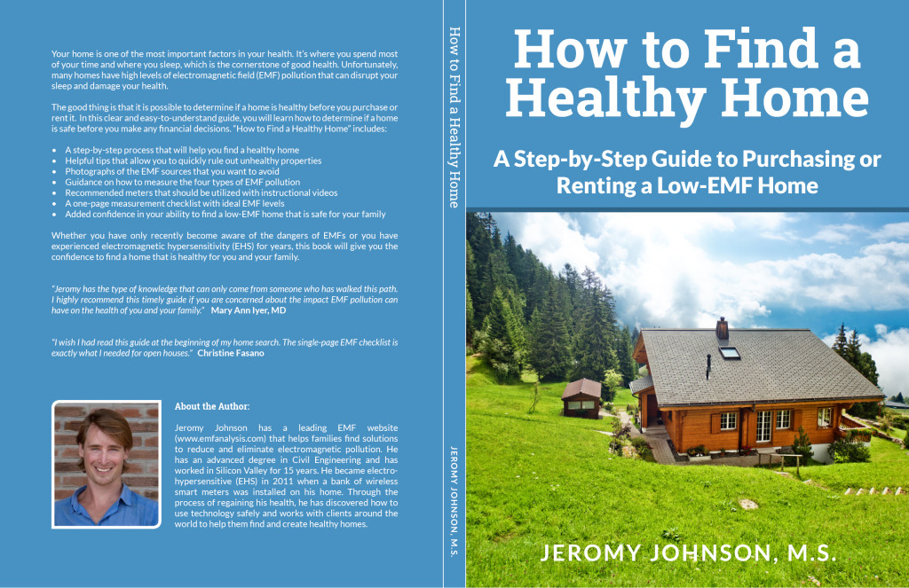 How to Find a Healthy Home Cover