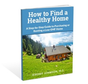 How to Find a Healthy Home 3D Image