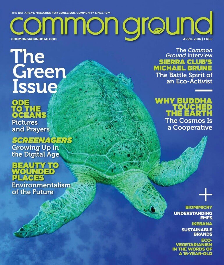 Common Ground Magazine April 2016 How to Create a Healthy Home