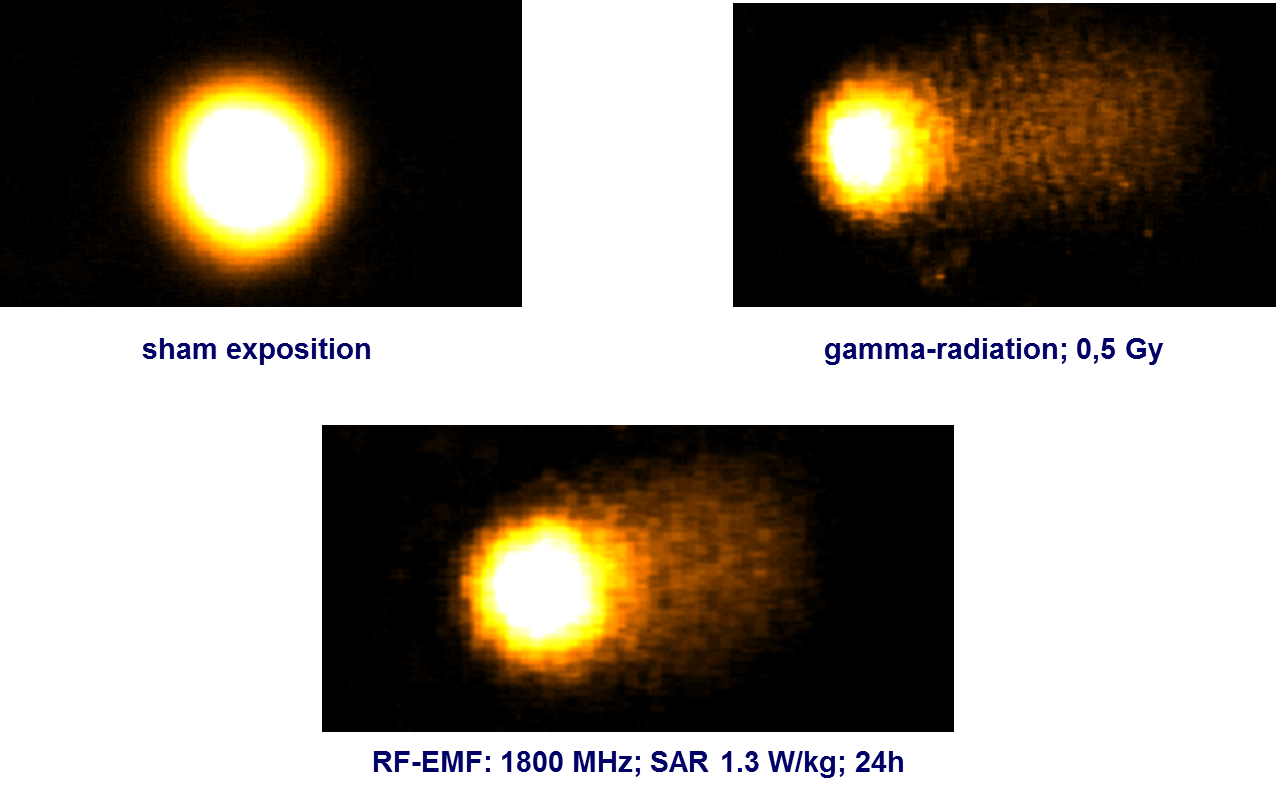 Reflex Comet Assay