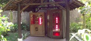 Low EMF Infrared Sauna Pic